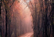 蓝鲸体育:利物浦意外不敌普利茅斯 无缘足总杯16强.