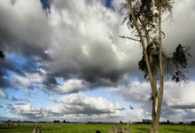 蓝鲸体育：[综合]面对黑粉与流量 潘展乐的困惑与清醒.