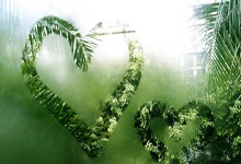 蓝鲸体育：[NBA]詹姆斯33+17 湖人战胜森林狼.