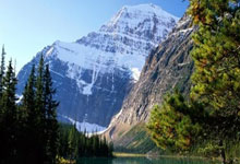 蓝鲸体育:辽宁队大胜却收坏消息,张镇麟可能常规赛报销.