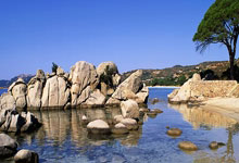 乒乓球——亚洲杯:蒯曼胜伊藤美诚.